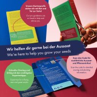 Fleurs séchées - 10 variétés de fleurs pollinisées naturellement - durables et magnifiques - Kit de graines pour débutants