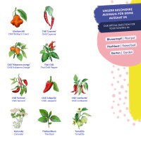 Piments & Compagnons - 10 variétés de piments et herbes pollinisées naturellement - exotiques et épicées - Kit de graines pour débutants