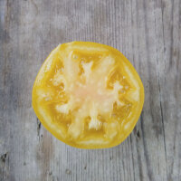 Tomate cerise Mirabelle Blanche (Solanum lycopersicum)...