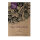Pois mange-tout Corne de Belier (Pisum sativum) graines