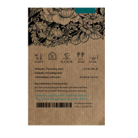 Fleurs d’été blanches (diverses espèces et variétés) Mélange de graines