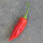 Chili Aji Delight (Capsicum baccatum) Bio-Saatgut