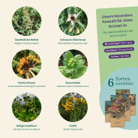 Magical Plants: ritual and incense herbs – Seed kit...