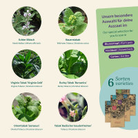 Tobacco Collection: From Seed to Your Own Blend –...