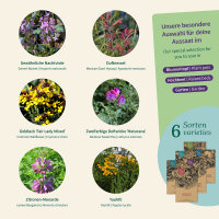 Fragrant Plants: fragrant flowers for borders &...