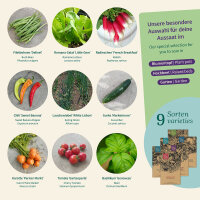 Balcony Vegetables: fresh produce from pots &...