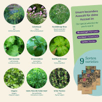 Pot Herbs: a mini herb garden for balcony & kitchen...