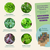 Basil Variety: six different basils from around the world...