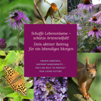 Prairie fleurie – fleurs sauvages pour jardins, balcons & abeilles – Coffret de semences n°28