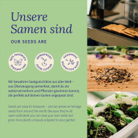 Herbes thaïes - Saveurs fraîches pour wok, curry et soupe - Kit de graines n° 36