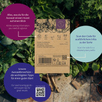 Herbes thaïes - Saveurs fraîches pour wok, curry et soupe - Kit de graines n° 36