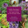 Piments forts pour jardin et cuisine - coffret de graines n° 25
