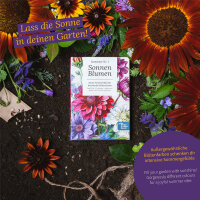 Sunflowers: colourful and easy to grow – Seed kit No.1