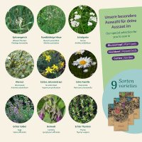 Monastery Herbs: historic herbs for cooking, tea and...