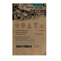 Pois de senteur lavande Lady Grisel Hamilton (Lathyrus odoratus) graines