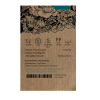 Pois de senteur bicolore ‘Matucana’ (Lathyrus...