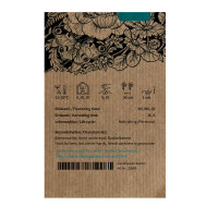 Zinnia Envy (Zinnia elegans) graines