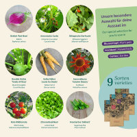 Rare Seeds for your garden – Seed kit No. 2