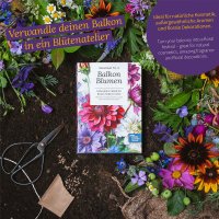 Balcony Flowers to grow from seed – Seed kit No.4
