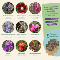 Fleurs d’antan – Comme au jardin de...