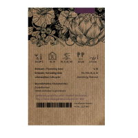 Betterave rouge Cylindra (Beta vulgaris) graines biologiques