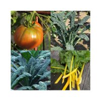 Légumes anciens (bio) - Kit de graines