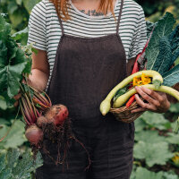 Légumes anciens (bio) - Kit de graines