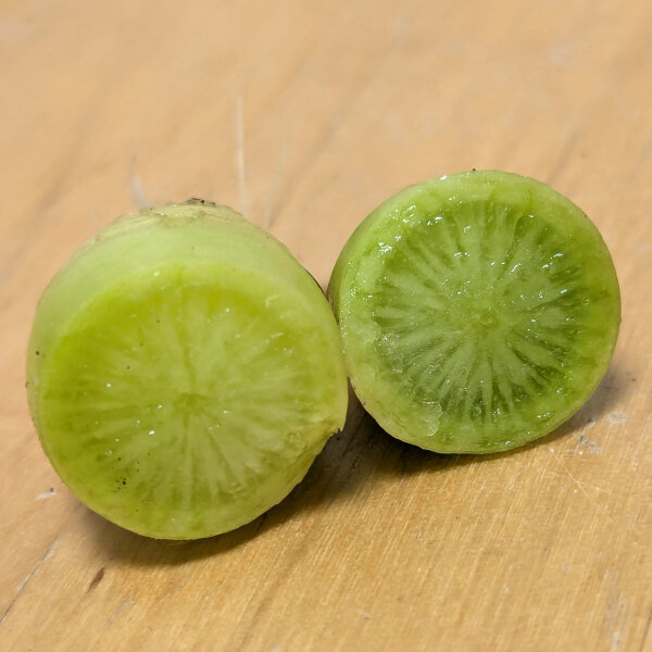 Radis vert Green Luobo (Raphanus sativus) graines
