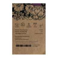 Radis vert Green Luobo (Raphanus sativus) graines