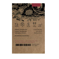 Aneth Compact (Anethum graveolens) graines