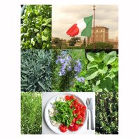 Herbes pour la cuisine italienne - kit de graines