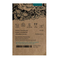 Trèfle incarnat (Trifolium incarnatum) graines