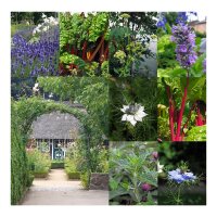 Lassortiment du jardin de cottage anglais - kit de graines