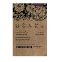 Céleri rose ‘Chinese Pink’ (Apium graveolens) semences biologiques