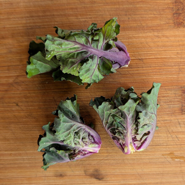 Chou frisé à jets (Brassica oleracea var. gemmifera x sabellica) graines