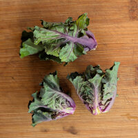 Chou frisé à jets (Brassica oleracea var....