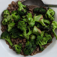 Brocoli ‘Limba’ (Brassica oleracea var. italica) semences biologiques