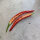 Piment coréen Taeyang Medium (Capsicum annuum) – Graines biologiques