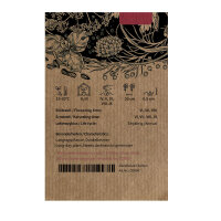 Coriandre Jantar (Coriandrum sativum) graines