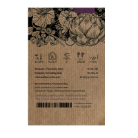 Melon réticulé Petit gris de Rennes (Cucumis melo) semences bio