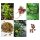 Herbes de lamour et de romance kit de graines