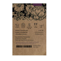 Laitue iceberg Reine des Glaces (Lactuca sativa) graines