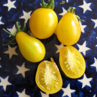 Tomate Dattelwein (Solanum lycopersicum) graines