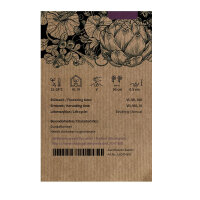 Tomate charnue Zahnradtomate (Solanum lycopersicum) Semences biologiques