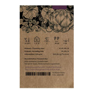 Aubergine Tarim (Solanum melongena) semences biologiques