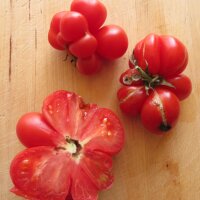 Tomate Voyage (Solanum lycopersicum) graines