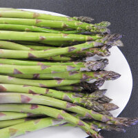 Asperge violette Argenteuil (Asparagus officinalis)...