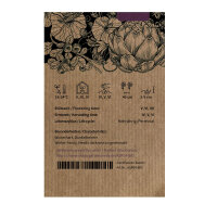 Asperge violette Argenteuil (Asparagus officinalis) graines biologiques