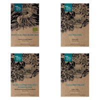 Plantes à fleurs printanières - Kit cadeau de graines