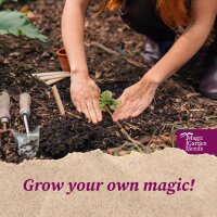 Potager au balcon - Kit cadeau de graines